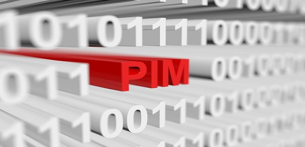 PIM letters among binary code
